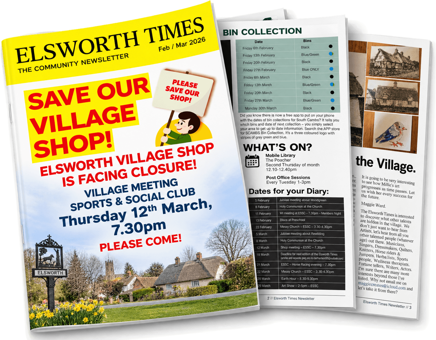 An array of previous issues of the newsletter